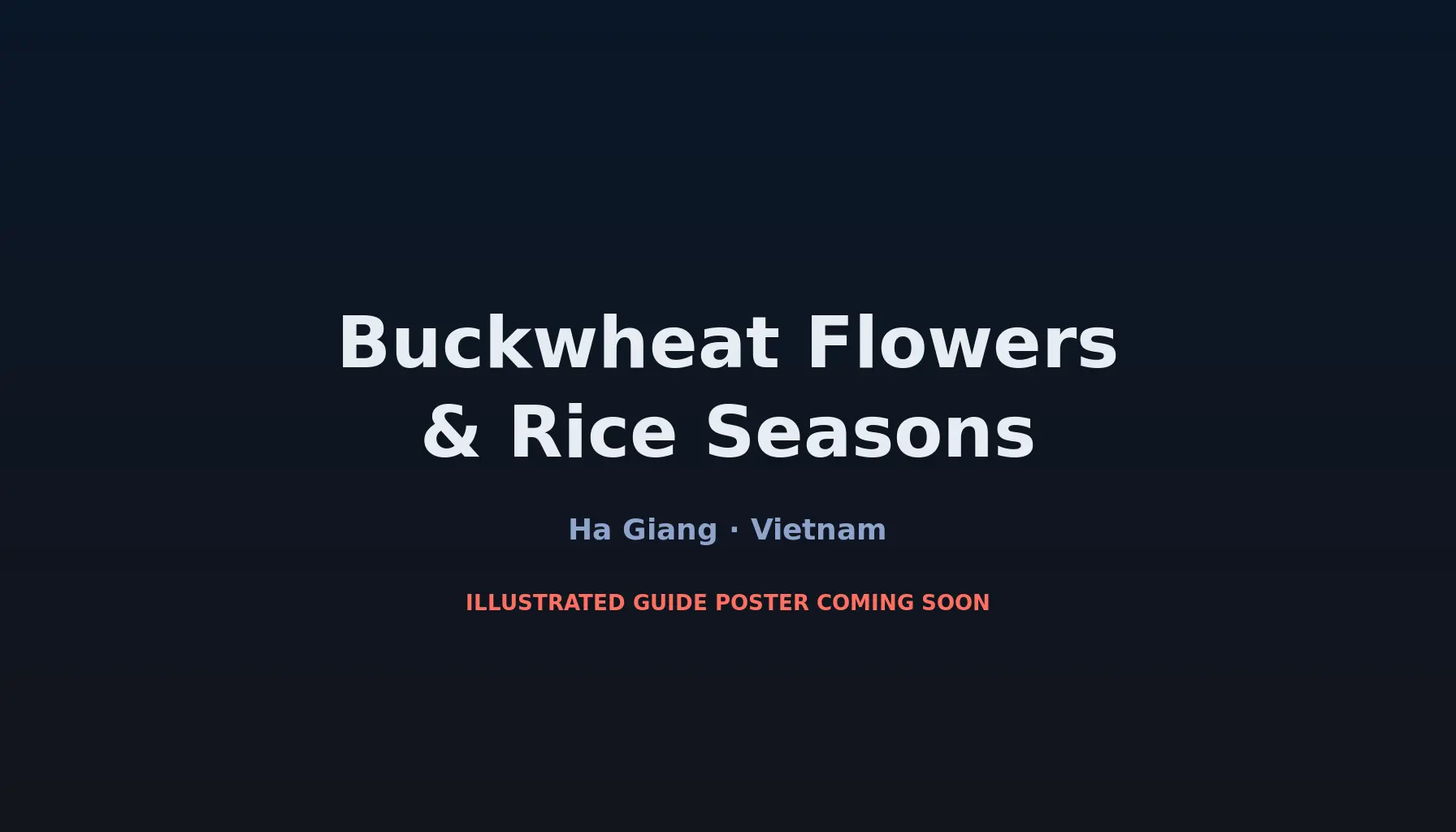 Travel infographic guide poster: Buckwheat Flowers & Rice Seasons on the Ha Giang Loop