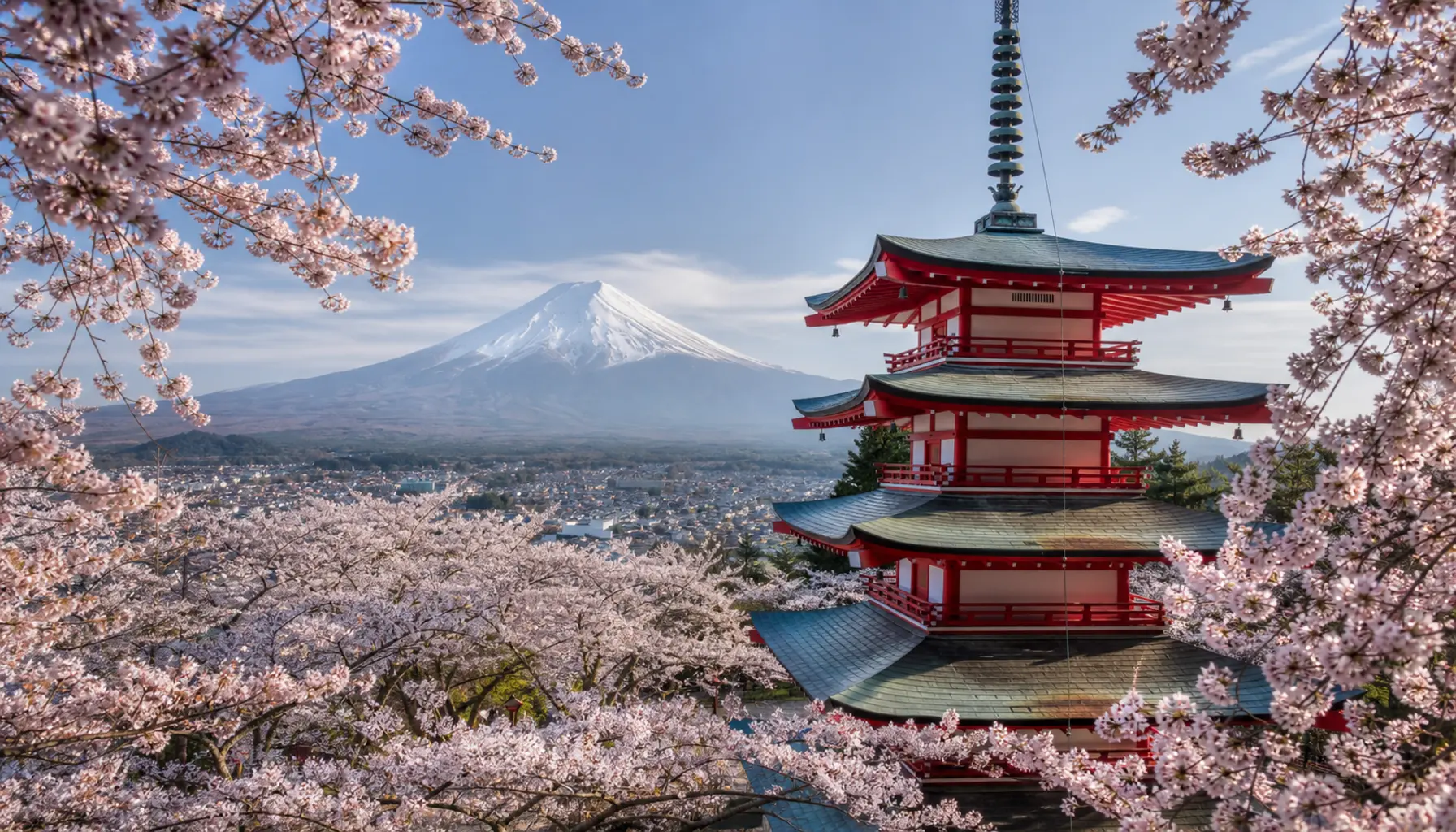 Illustrated guide pin: cherry blossom season in Japan