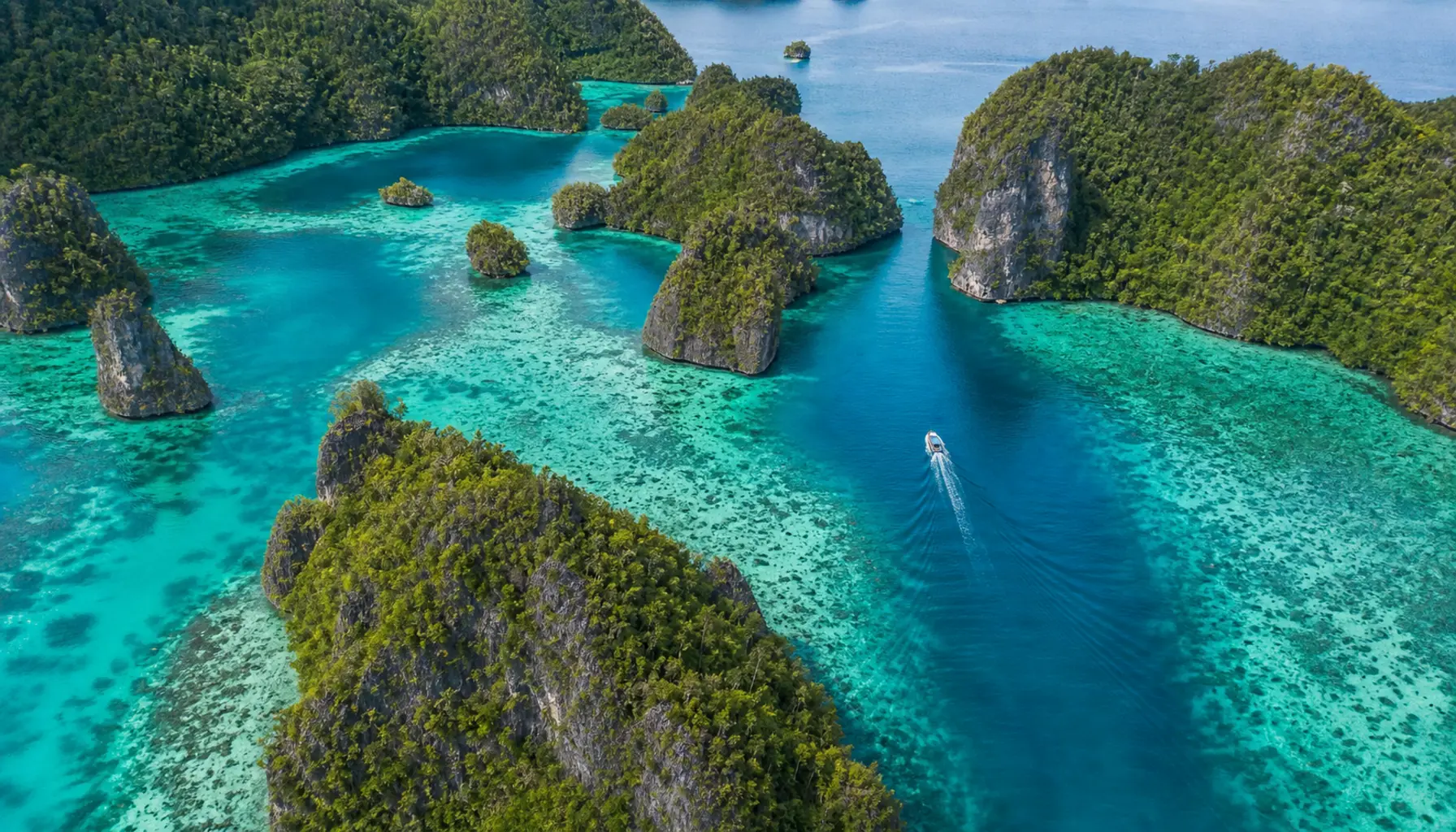 Aerial view of the jungle-covered karst islets and turquoise lagoons of Raja Ampat