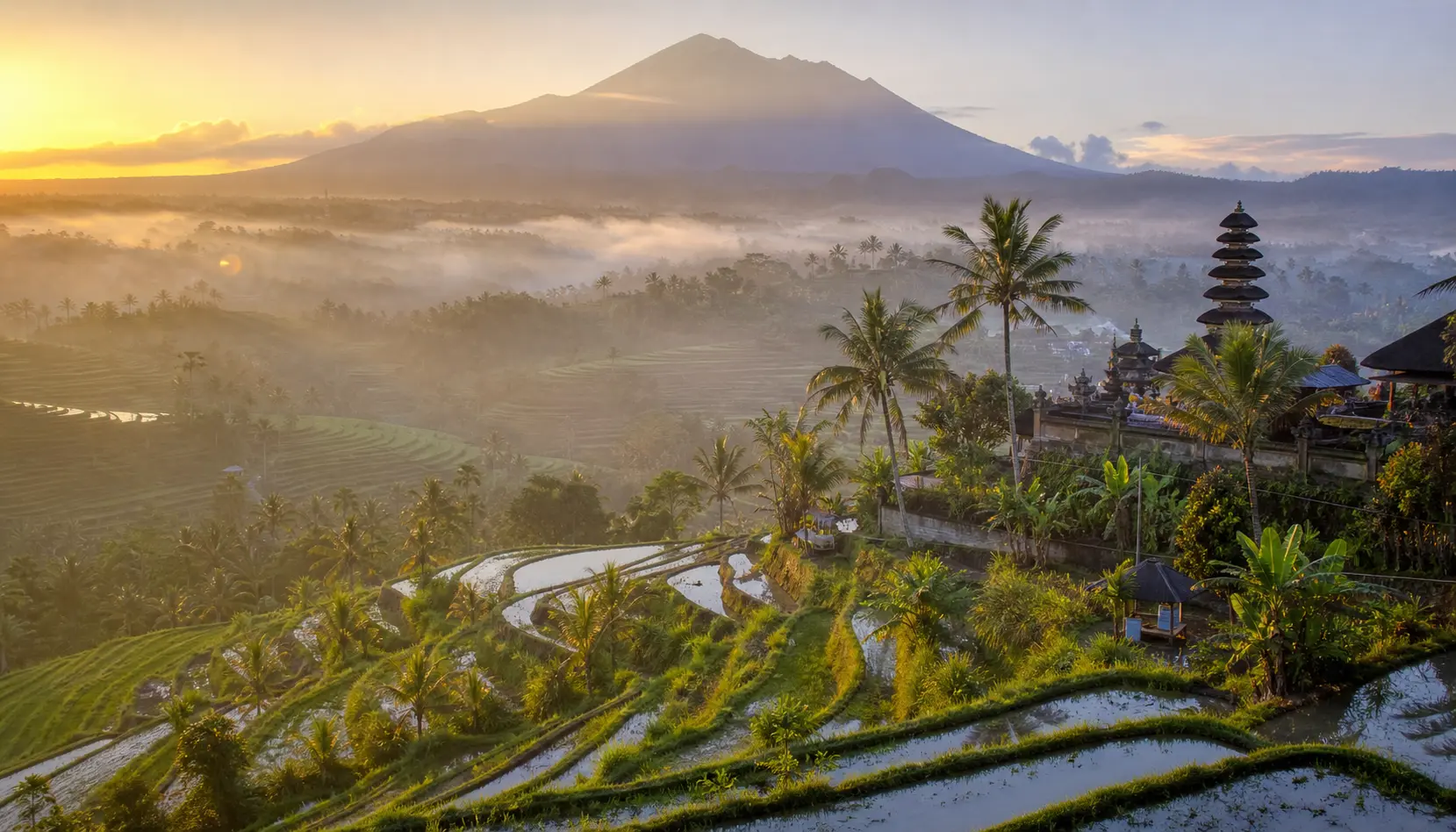Bali's emerald steps