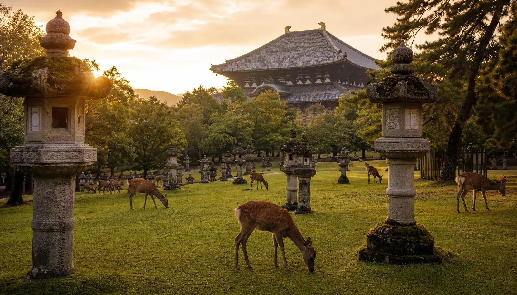 Nara's sacred park