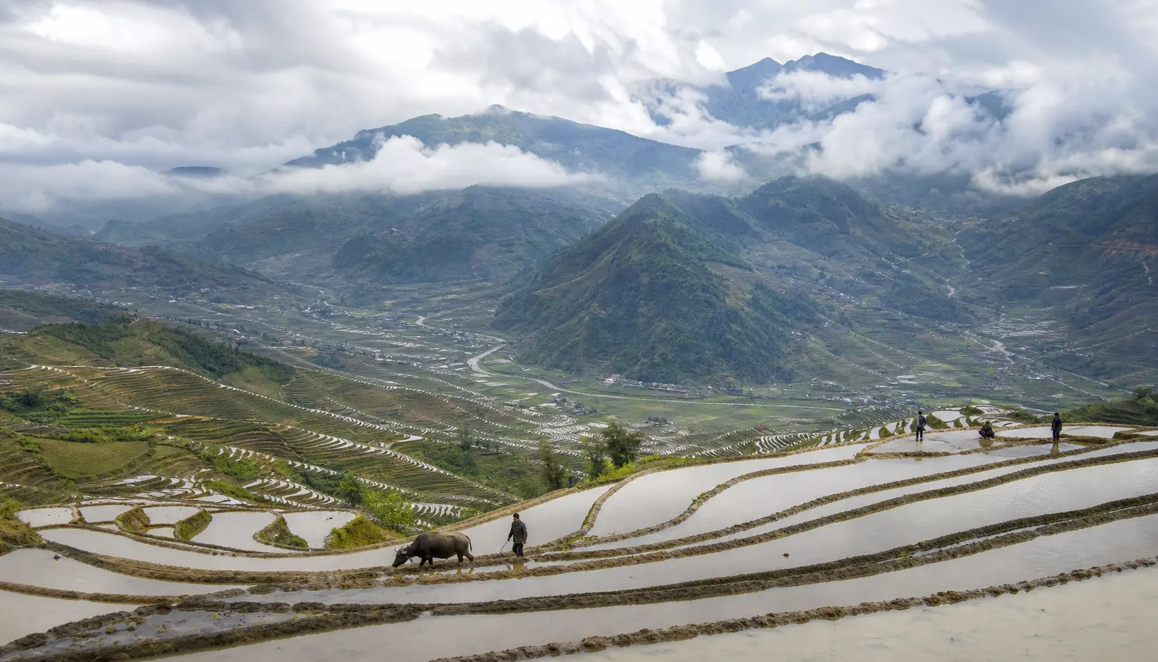 Terraces to the sky